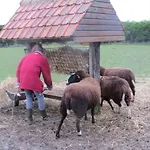 't Hannonshof 3*