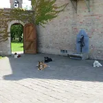 Bed & Breakfast 't Hannonshof