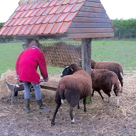 't Hannonshof Nocleg ze śniadaniem Nieuwpoort