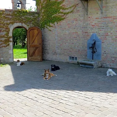 't Hannonshof
