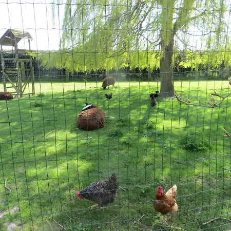 Frühstückspension 't Hannonshof