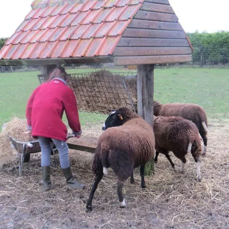 't Hannonshof *