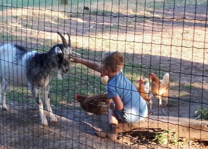 't Hannonshof Nieuwpoort