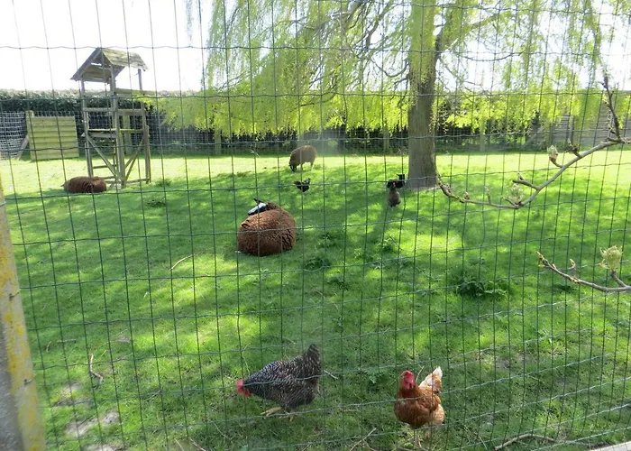 Bed & Breakfast 't Hannonshof