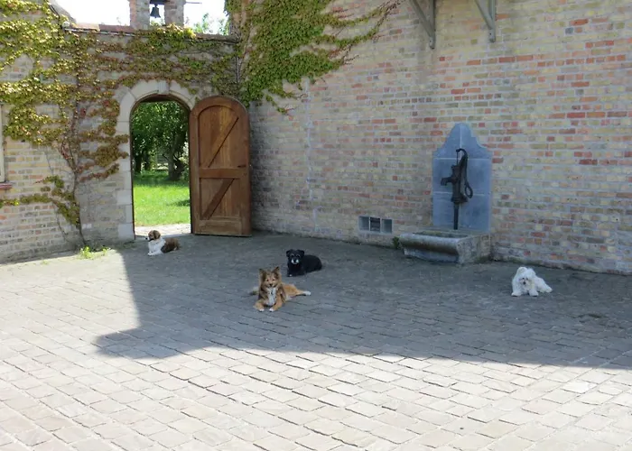 Alojamento de Acomodação e Pequeno-almoço 't Hannonshof