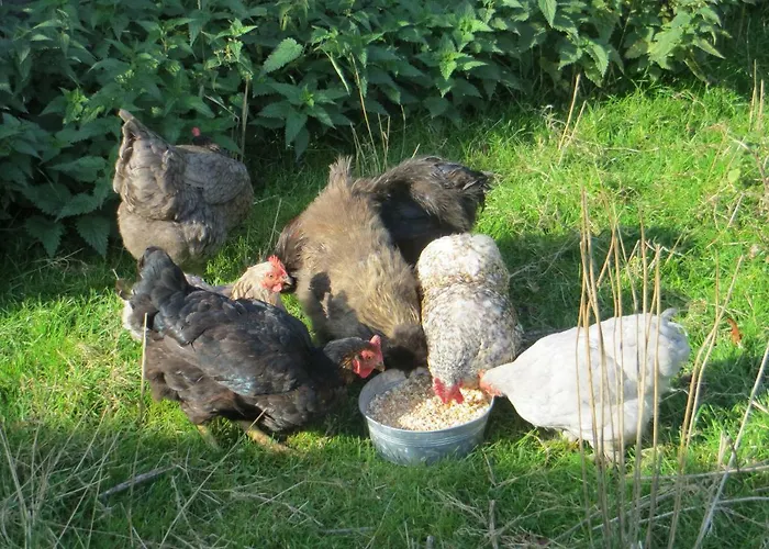 't Hannonshof Bed & Breakfast Nieuwpoort