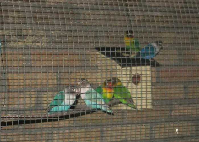 't Hannonshof Nieuwpoort